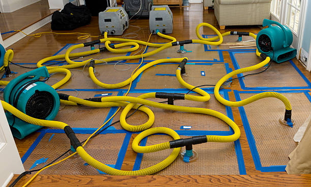 Professional Water Damage Repair technician working in Seaside, CA